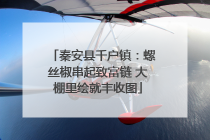 秦安县千户镇：螺丝椒串起致富链 大棚里绘就丰收图