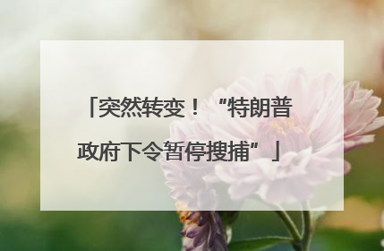 突然转变！“特朗普政府下令暂停搜捕”