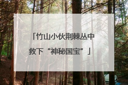 竹山小伙荆棘丛中救下“神秘国宝”
