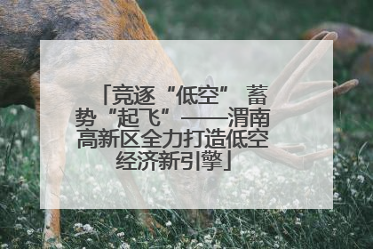 竞逐“低空” 蓄势“起飞”——渭南高新区全力打造低空经济新引擎