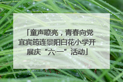 童声嘹亮，青春向党 宜宾筠连景阳白花小学开展庆“六·一”活动