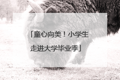 童心向美！小学生走进大学毕业季