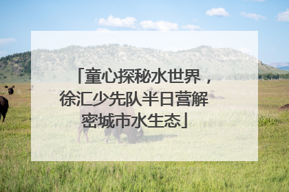 童心探秘水世界，徐汇少先队半日营解密城市水生态