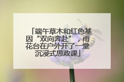 端午草木和红色基因“双向奔赴”，雨花台在户外开了一堂沉浸式思政课