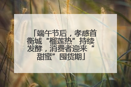 端午节后，孝感首衡城“榴莲热”持续发酵，消费者迎来“甜蜜”囤货期