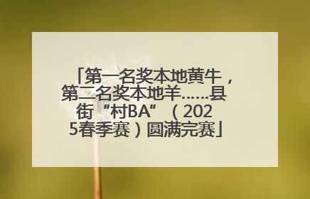 第一名奖本地黄牛，第二名奖本地羊……县街“村BA”（2025春季赛）圆满完赛