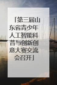 第三届山东省青少年人工智能科普与创新创意大赛交流会召开