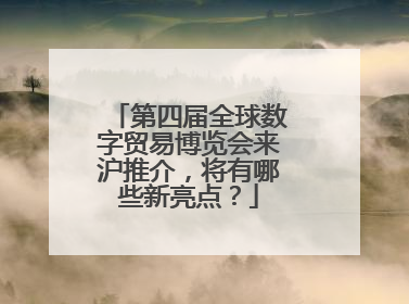 第四届全球数字贸易博览会来沪推介，将有哪些新亮点？