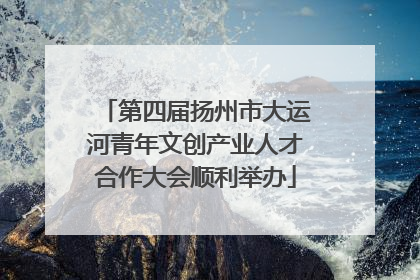 第四届扬州市大运河青年文创产业人才合作大会顺利举办