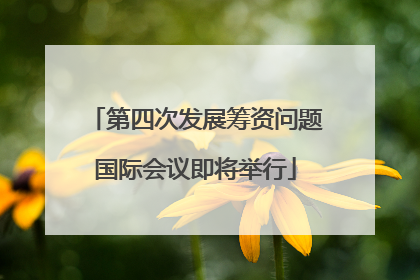 第四次发展筹资问题国际会议即将举行