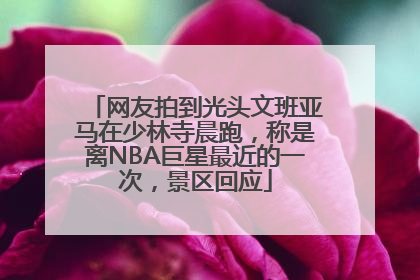 网友拍到光头文班亚马在少林寺晨跑，称是离NBA巨星最近的一次，景区回应