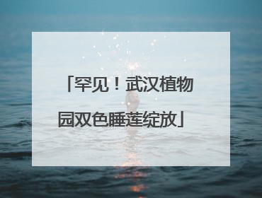 罕见！武汉植物园双色睡莲绽放
