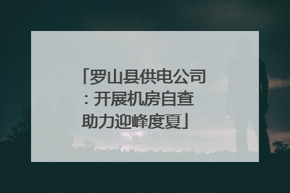 罗山县供电公司：开展机房自查 助力迎峰度夏
