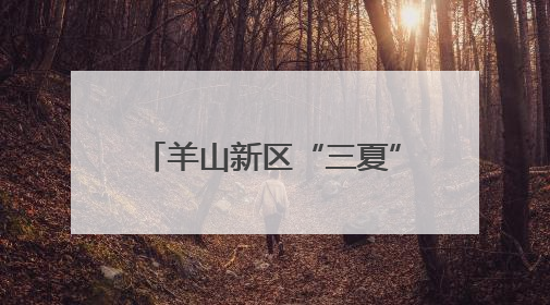 羊山新区“三夏”生产全面发力，护航农业稳产增收