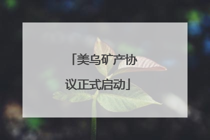 美乌矿产协议正式启动