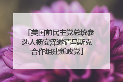 美国前民主党总统参选人杨安泽邀请马斯克合作组建新政党