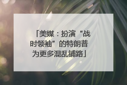 美媒：扮演“战时领袖”的特朗普为更多混乱铺路