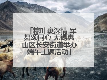 粽叶裹深情 军舞颂同心 无锡惠山区长安街道举办端午主题活动