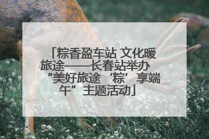 粽香盈车站 文化暖旅途——长春站举办 “美好旅途‘粽’享端午”主题活动