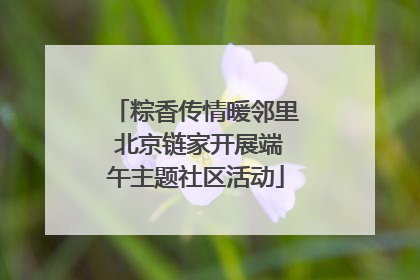 粽香传情暖邻里 北京链家开展端午主题社区活动
