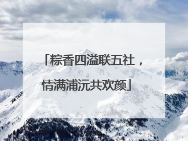 粽香四溢联五社，情满浦沅共欢颜