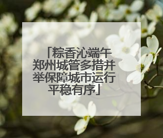 粽香沁端午 郑州城管多措并举保障城市运行平稳有序