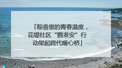 粽香里的青春温度，花堤社区“鹤耋安”行动架起跨代暖心桥