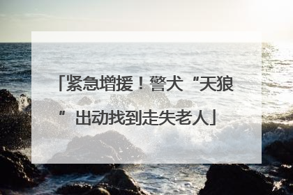 紧急增援！警犬“天狼”出动找到走失老人