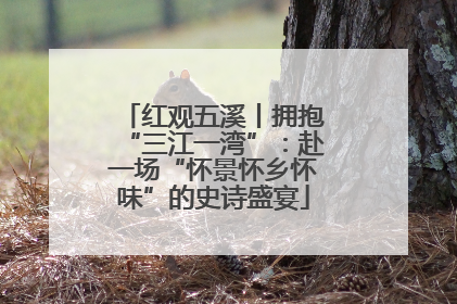 红观五溪丨拥抱“三江一湾”：赴一场“怀景怀乡怀味”的史诗盛宴