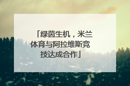 绿茵生机，米兰体育与阿拉维斯竞技达成合作