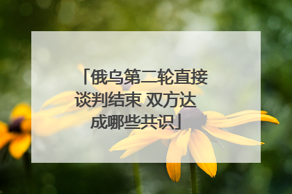 俄乌第二轮直接谈判结束 双方达成哪些共识