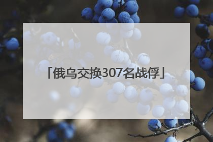 俄乌交换307名战俘