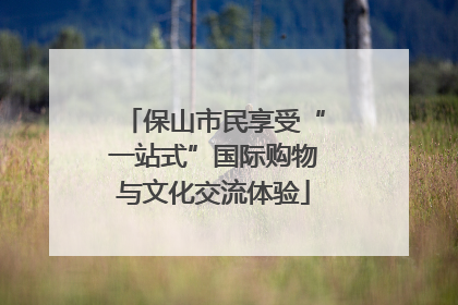 保山市民享受“一站式”国际购物与文化交流体验