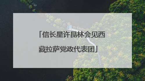 信长星许昆林会见西藏拉萨党政代表团