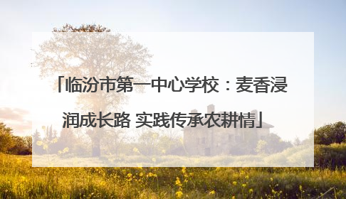 临汾市第一中心学校：麦香浸润成长路 实践传承农耕情