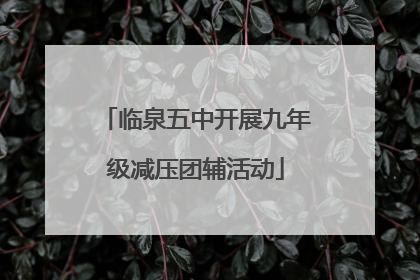 临泉五中开展九年级减压团辅活动