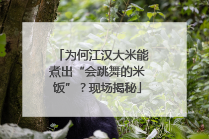 为何江汉大米能煮出“会跳舞的米饭”？现场揭秘