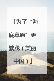 为了“海底草原”更繁茂（美丽中国）