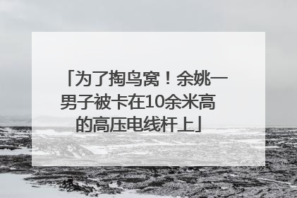 为了掏鸟窝！余姚一男子被卡在10余米高的高压电线杆上