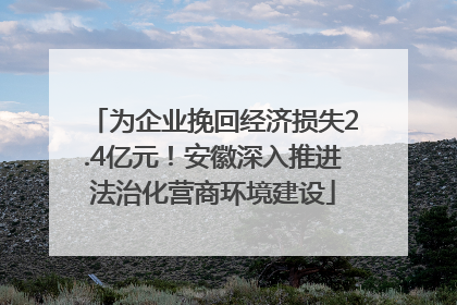 为企业挽回经济损失2.4亿元！安徽深入推进法治化营商环境建设
