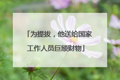 为提拔，他送给国家工作人员巨额财物