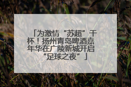 为激情“苏超”干杯！扬州青岛啤酒嘉年华在广陵新城开启“足球之夜”