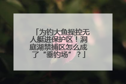 为钓大鱼操控无人艇进保护区！洞庭湖禁捕区怎么成了“垂钓场”？