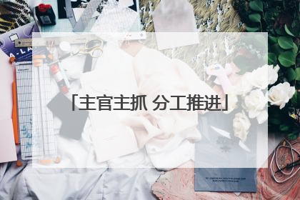 主官主抓 分工推进