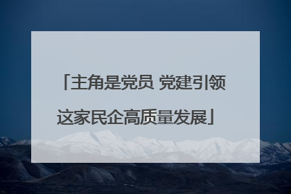主角是党员 党建引领这家民企高质量发展