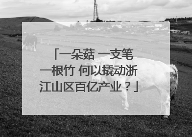 一朵菇 一支笔 一根竹 何以撬动浙江山区百亿产业？