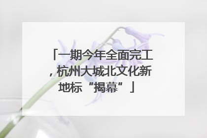 一期今年全面完工，杭州大城北文化新地标“揭幕”