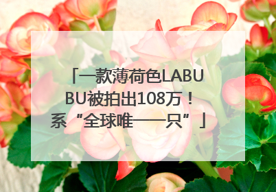 一款薄荷色LABUBU被拍出108万！系“全球唯一一只”