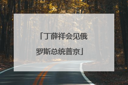 丁薛祥会见俄罗斯总统普京
