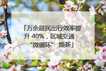 万余居民出行效率提升 40%，区域交通 “微循环” 焕新